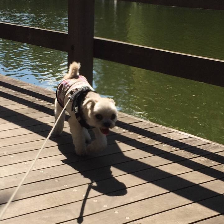 336f11ff 96d5 43b2 84ac 8b8cdd6bf893 1538896806559