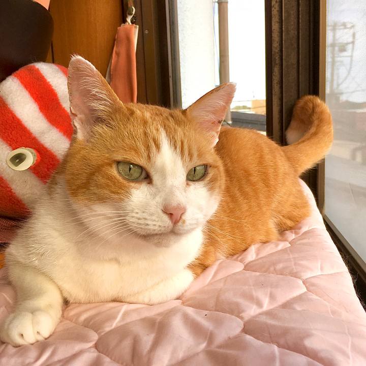 336f12ab eaf0 44e5 a1fb 1fd0aefb2cae 1588580294640