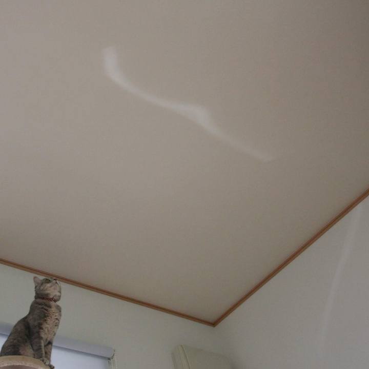 336f22ea e743 40a4 85a2 8b0e672d81e3 1534917130002