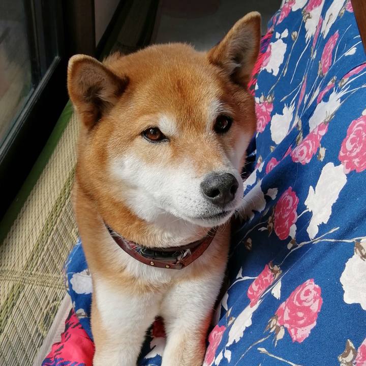 336f3ffc 6d63 4500 930a c5e16c72a39e 1645408794141