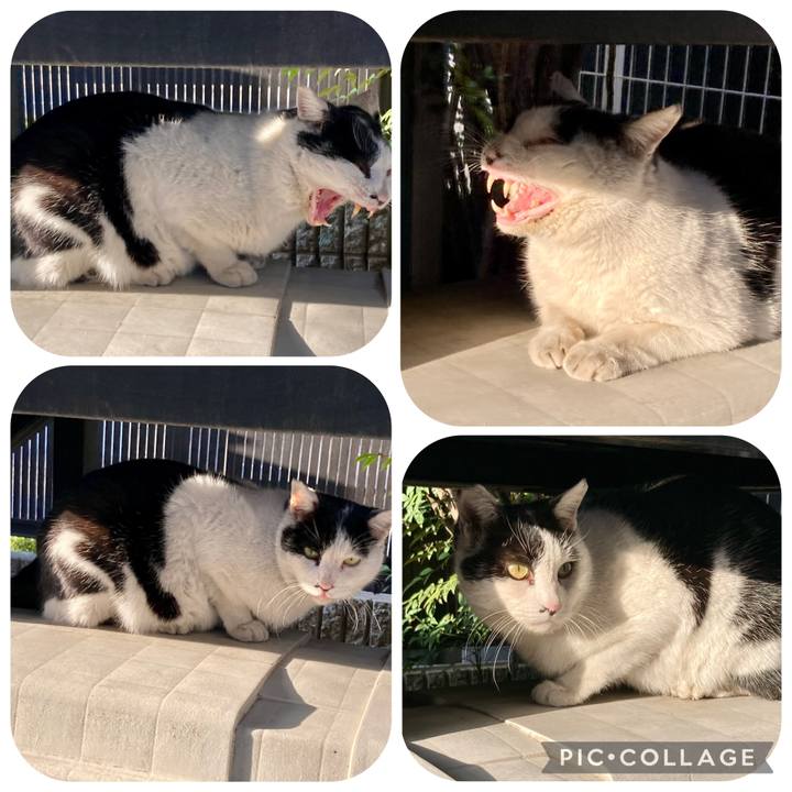 336fa17b a7c8 48ec 9625 356ef8860914 1772422257985