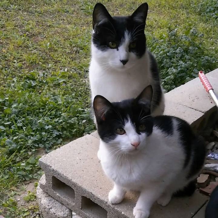 336fca9d 663c 494b b903 4ae8b9ed73eb 1546332466065