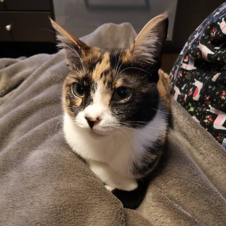 337020ec 8074 45db 969d 3fbae9428608 1613118083175