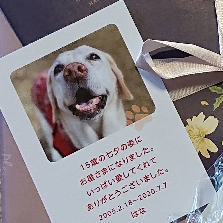 33703363 0283 4e08 945b 2f8a5b715943 1600058257598