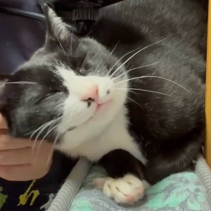 33703905 0dbf 45ad b0b7 05a778da41cc 1746756183084