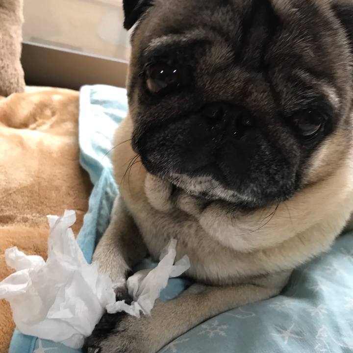 3370499e 5fc4 44ed 8b6b 625cf26021cb 1588494795256