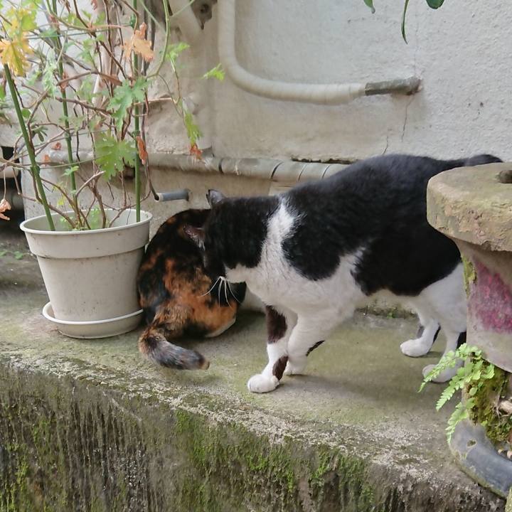 33706029 c2b7 40e9 a32f 84fabc1c5af1 1586474224065