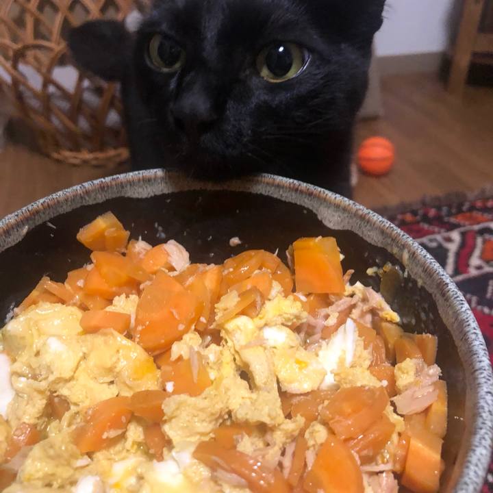 33706563 aeb3 4de4 8c94 c60ae10b0dd8 1650978522921