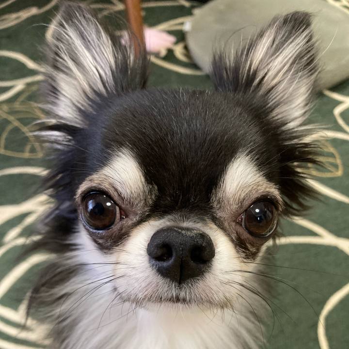 33706f8f 4a79 43d1 ab21 c1b12fcfe1dd 1635635438881