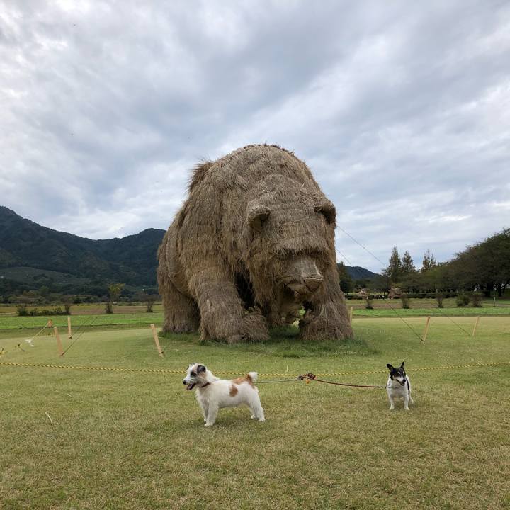 33708089 26ee 489e 91e6 654976d2ad94 1570773662206