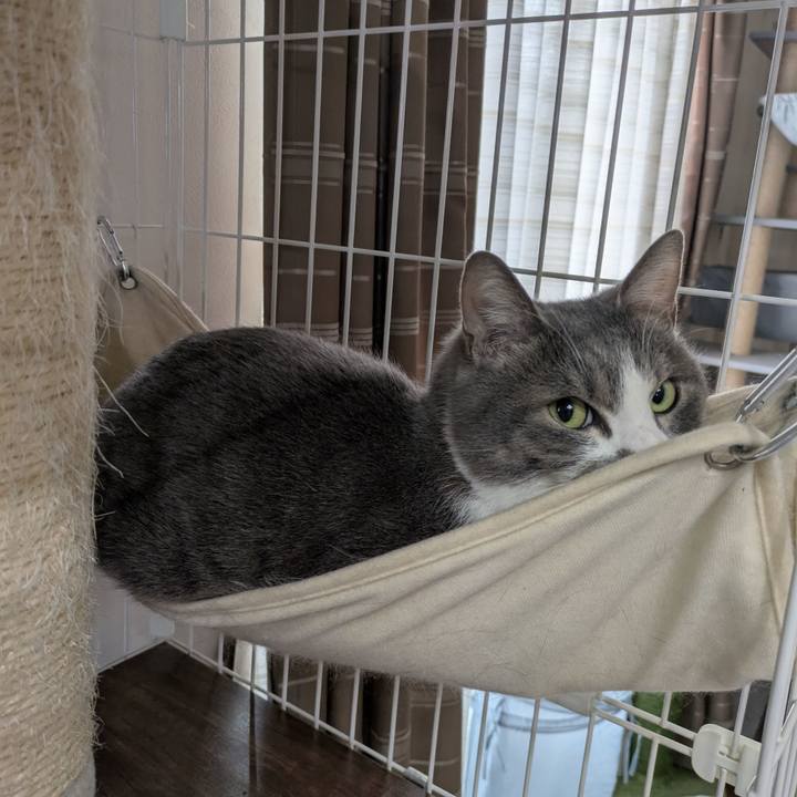 33709e0f 48e8 42f3 a107 261bb5150e06 1742816975718