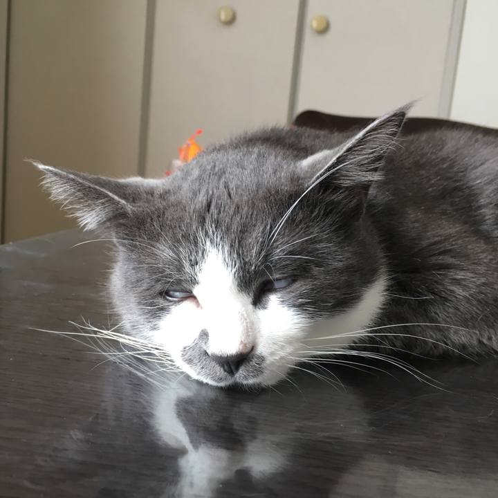 3370b1fa d570 4fe4 89cb 4d7f546a3135 1519745107411