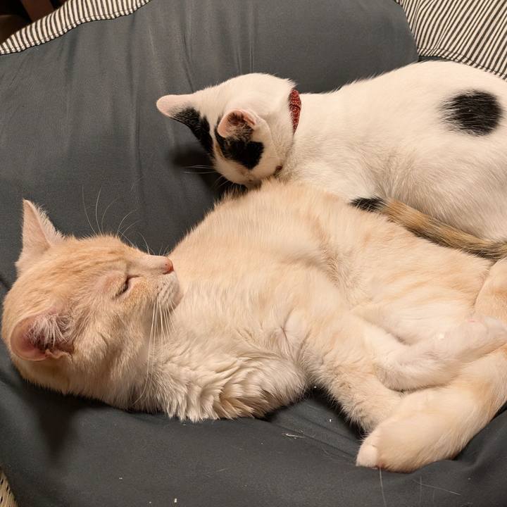 3370ce60 b7d6 4614 af6c 97f2b45d73f3 1722510389355