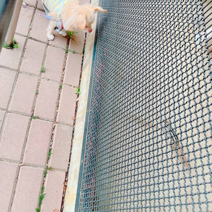 3370daa8 2191 4e24 908a 134603b57dbc 1647675963829