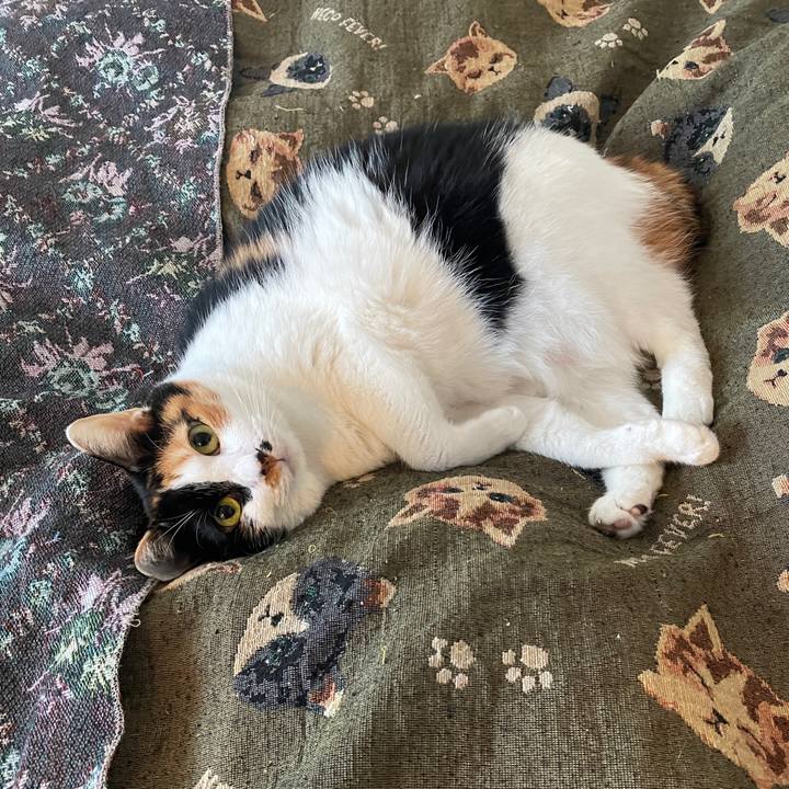 3370f15a 0022 46e7 aa27 3d2ec144c3dd 1728600747552