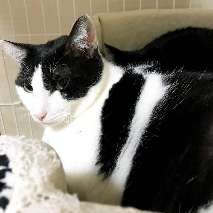 33715fc8 4d76 4ae4 b798 694e898d5887 1519654306358