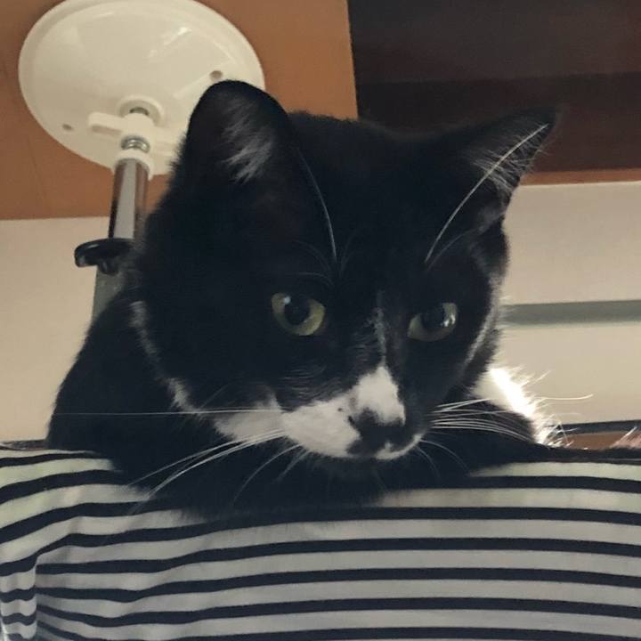 33716ad7 9929 4caf 9fd9 3a62bea0525a 1532403771088