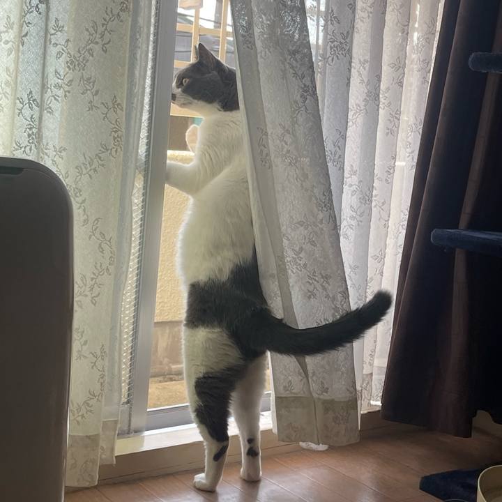 3371877d cc60 4303 a532 c8634fe98b6e 1697958271510