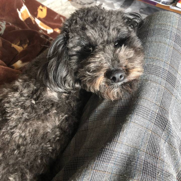 33719b48 4878 4ddd 8a85 70169a2aa612 1579836664374