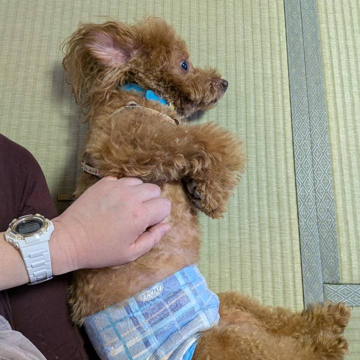 3371a626 3e9e 444e ac49 18cdd2cc6e6a 1770967084752