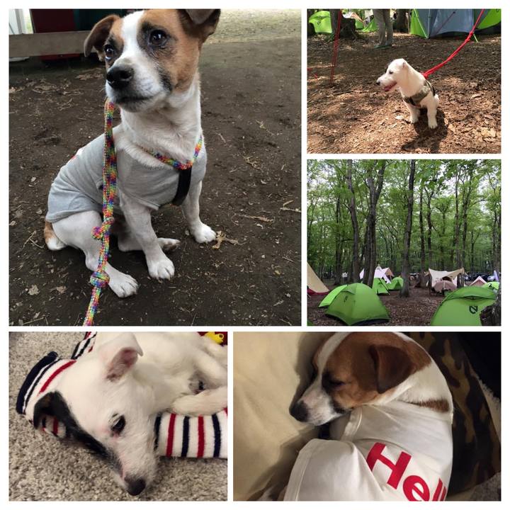 3371a9d1 19dc 4eb0 8da9 ea596e7271db 1650890581637