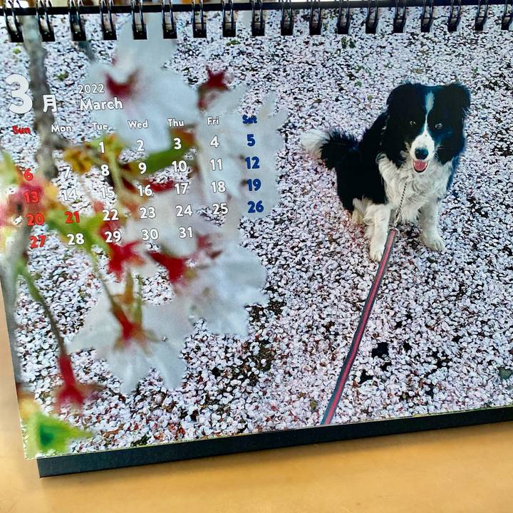 3371b373 4b15 404c b512 763748504df8 1646085594800