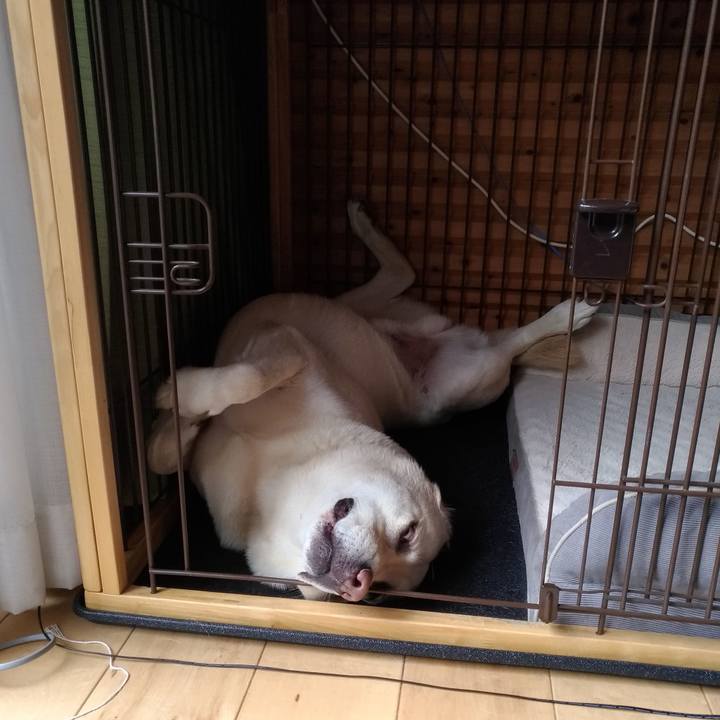 3371bdfe 4454 40c2 a37a 6da48a2f7ffc 1624253636083