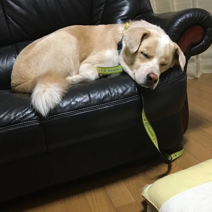 3371d663 ad8a 4cc1 b252 42d7ab2a4000 1533911709866