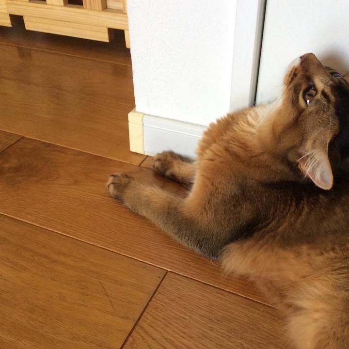 3371e4a0 1554 470f 95d8 f7ac98a26a21 1564617820351