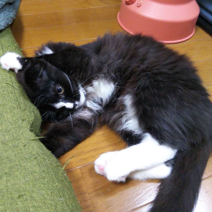 3371e7d7 a22d 45e4 b552 3e8f4faf675d 1641633552177