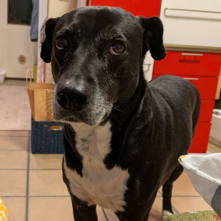 3371ec20 a1ba 454e 9632 47dcc6be493e 1737284640563