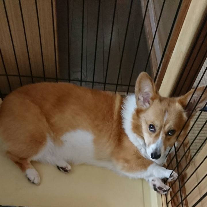 3371f9a8 5c2c 40ea ac78 b92cdc824a82 1526553965971