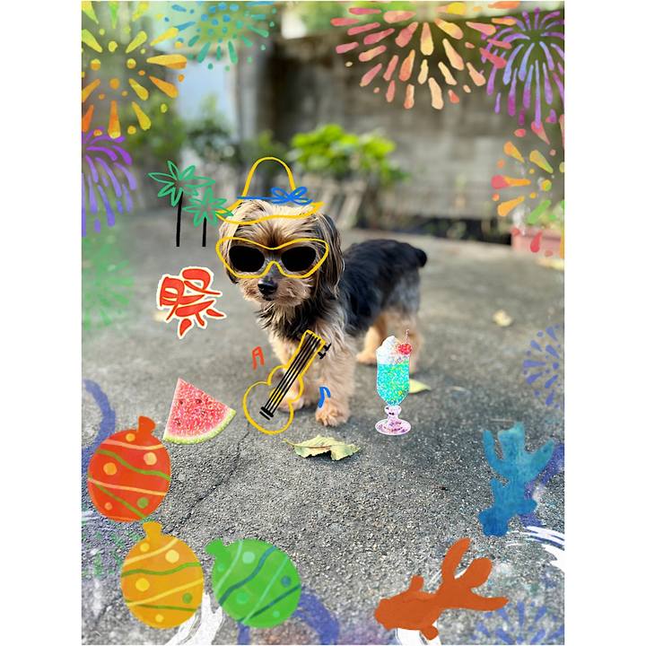 337212e4 bd87 4d46 a0e8 bf75ea88bc78 1691821363758