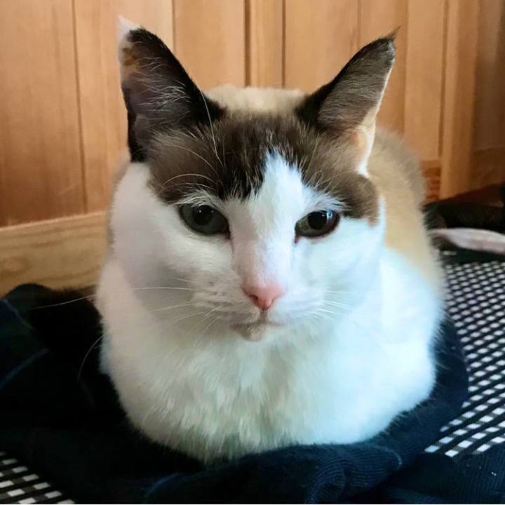 33722fec 0b4b 4b71 acca 2af9ac2e7d2f 1736396367243