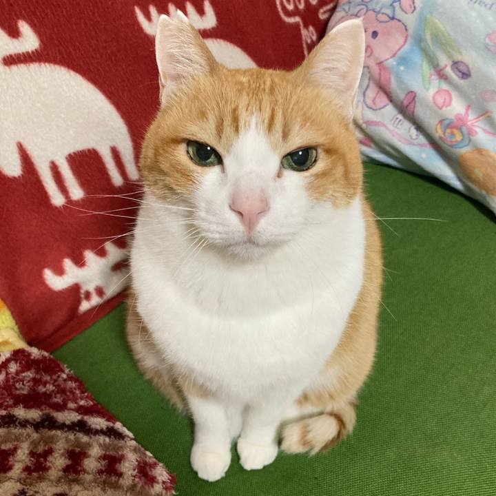 337231d2 a38a 4d3b 801d 672698ef92c6 1770086141440