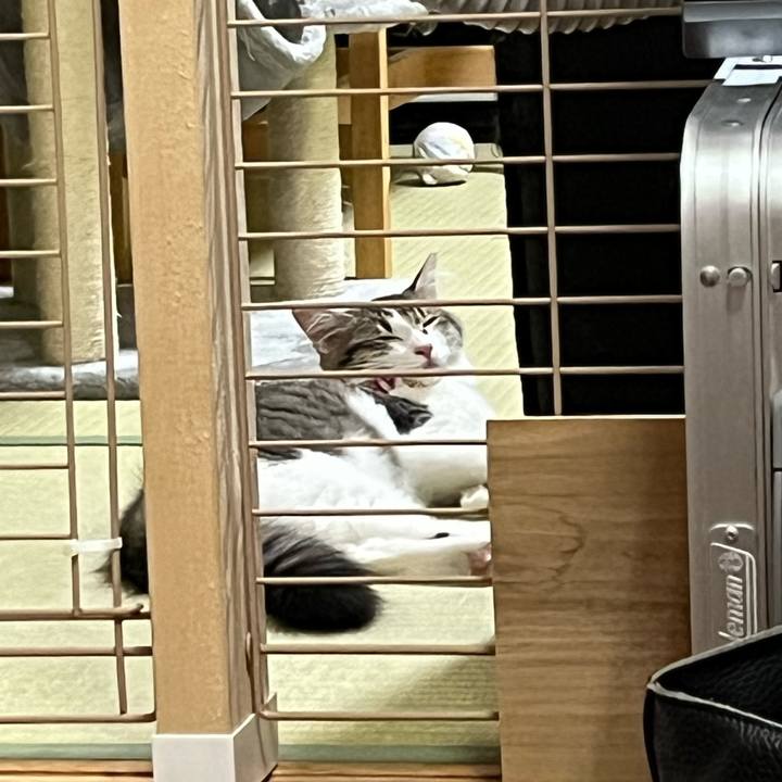 337260ef 3b33 4f7b bd99 8ff59686608d 1693353888337