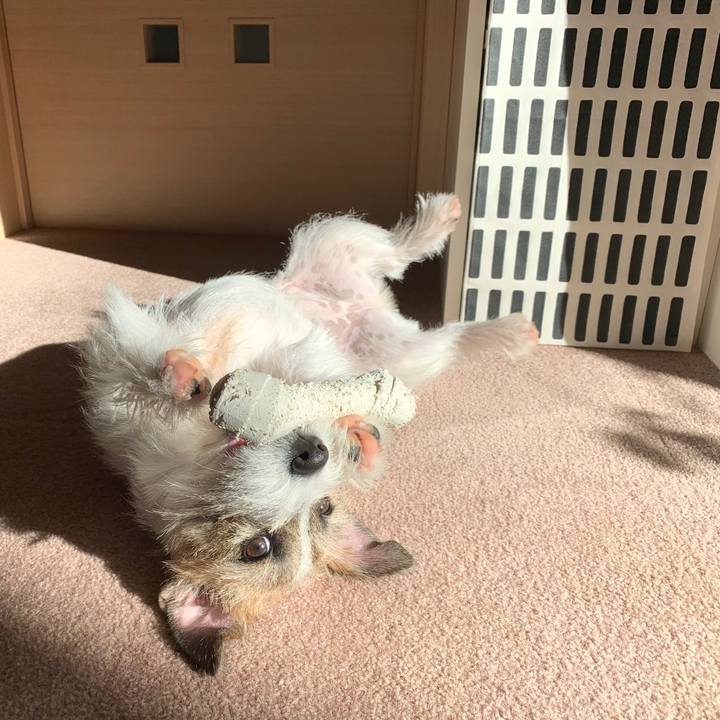 33726621 e0da 42be a4c1 29c3ca1ee86c 1575005834041