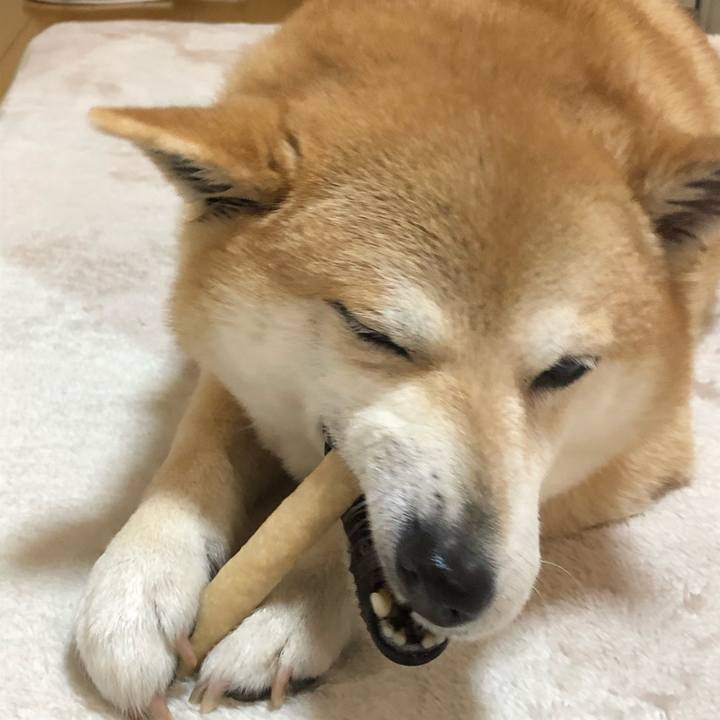 33727819 13df 4280 8acd 6701a8b1153c 1585980645888