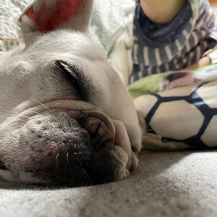 3372a243 cea2 4f1f b0e8 37b6b0d7fad0 1761436153815