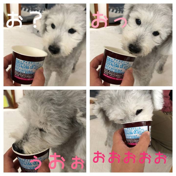 3372bb9b a051 4076 bf1a 79a1c888d196 1599886187737