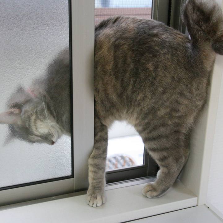 3372c761 105e 4ce8 add3 efb6704e2797 1508414143074