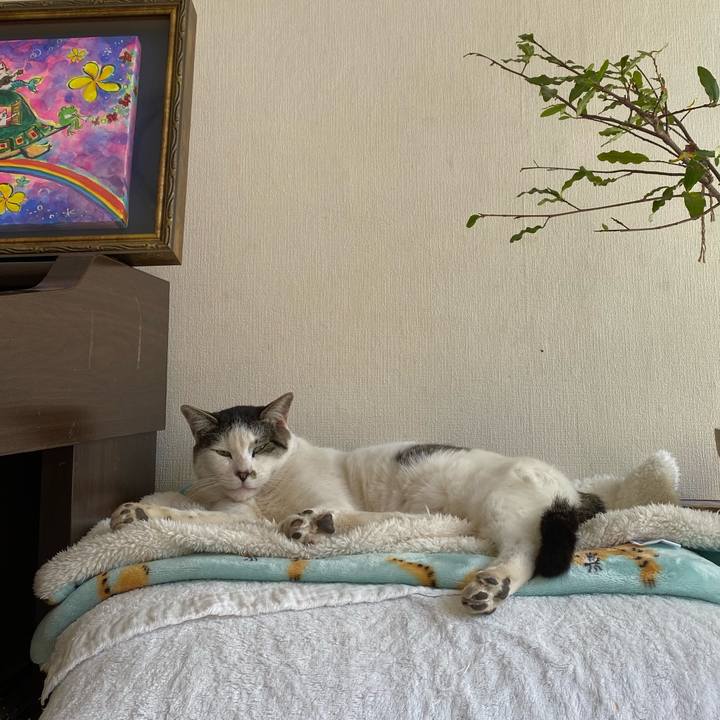 337311c1 beac 42e5 a197 81296569f6e6 1614383509147