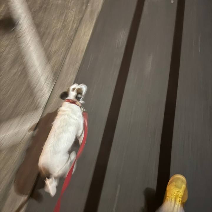 33732a5a 2146 401e 8f46 9efb05795b85 1767973774786