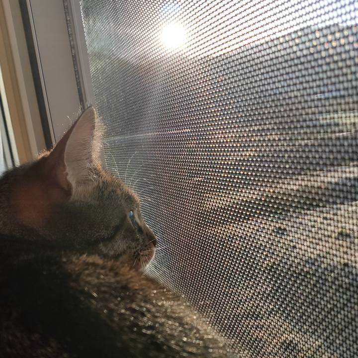 33734540 f6cb 43cd 8f81 ef594cfac2d3 1678849310007