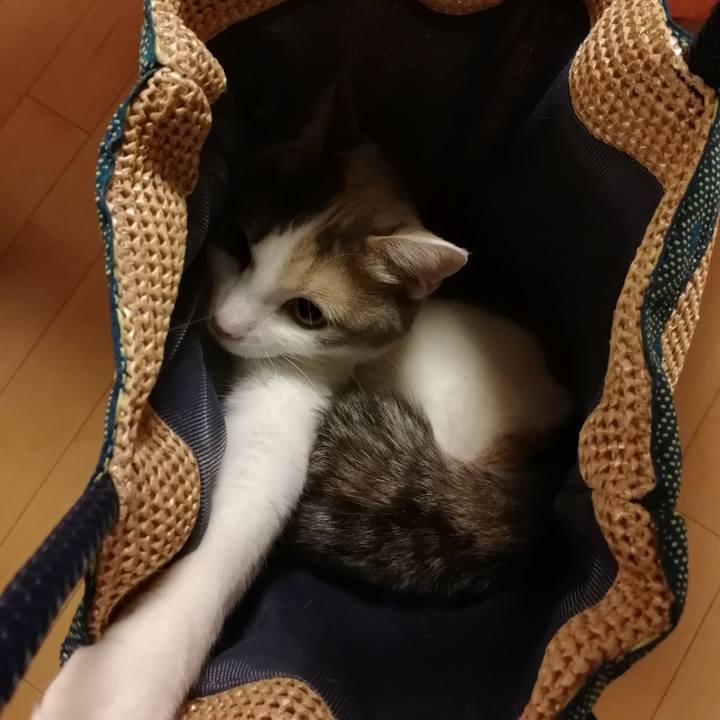 33735d2d f238 450b 97b4 d2b482bc053b 1553124122042