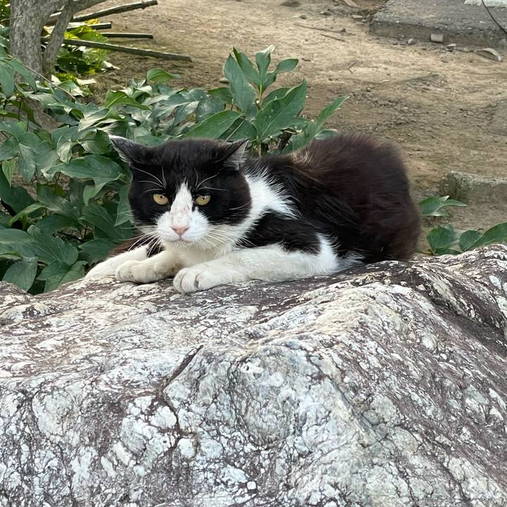 3373b43b ff46 468d 8ff2 cf162388adce 1685181301902