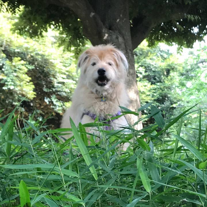 3373bc19 f1ba 4e5e 8140 142bd80c608a 1591404945853