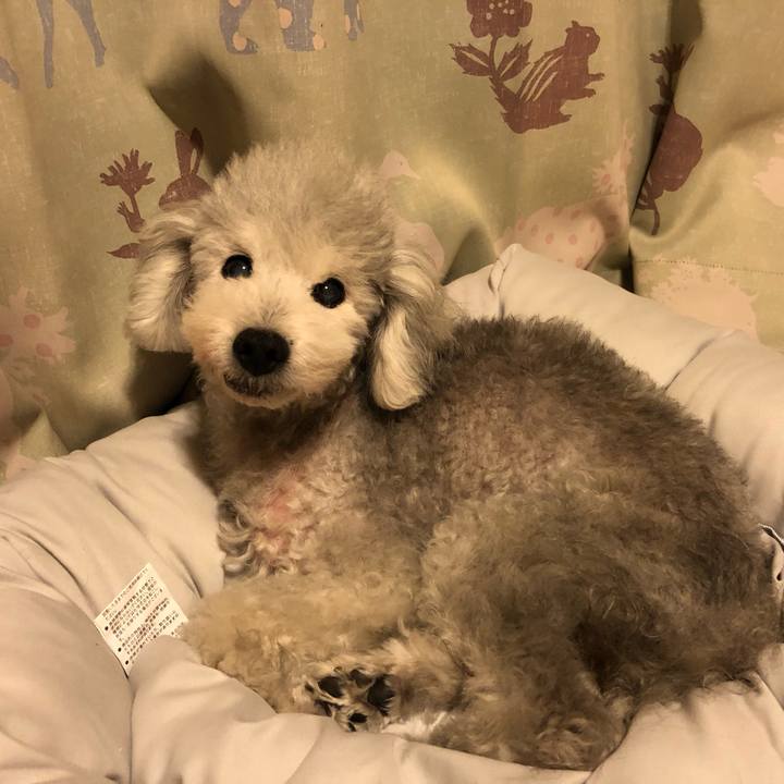 3373cbb6 49db 4cdc 973c 388c65a78835 1627903292154