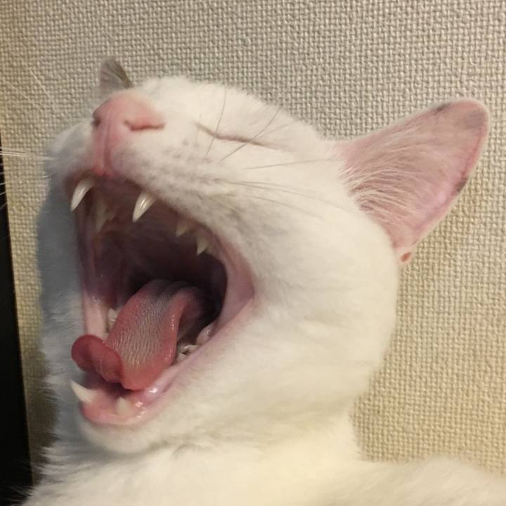 3373e792 ddc8 480b a708 0319f86c02dc 1692158192519