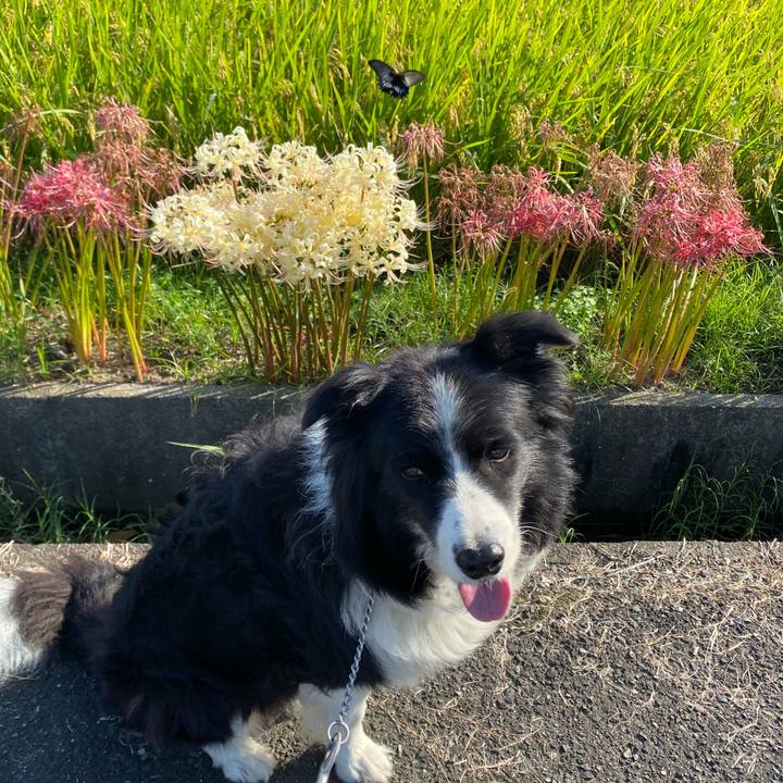 3373f035 b567 4fc4 a5c4 822c56b6ec46 1632529610527